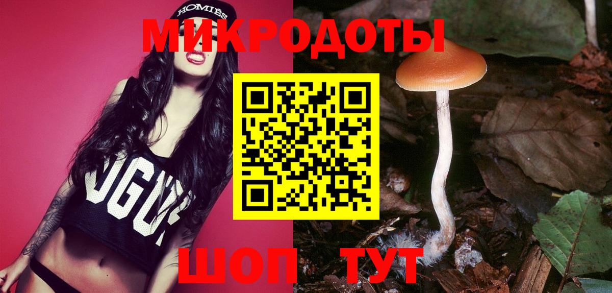 Псилоцибиновые грибы Psilocybe  Вход с VPN  Менделеевск 