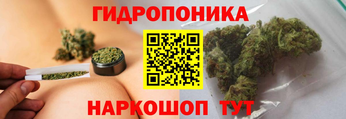 Конопля конопля Менделеевск